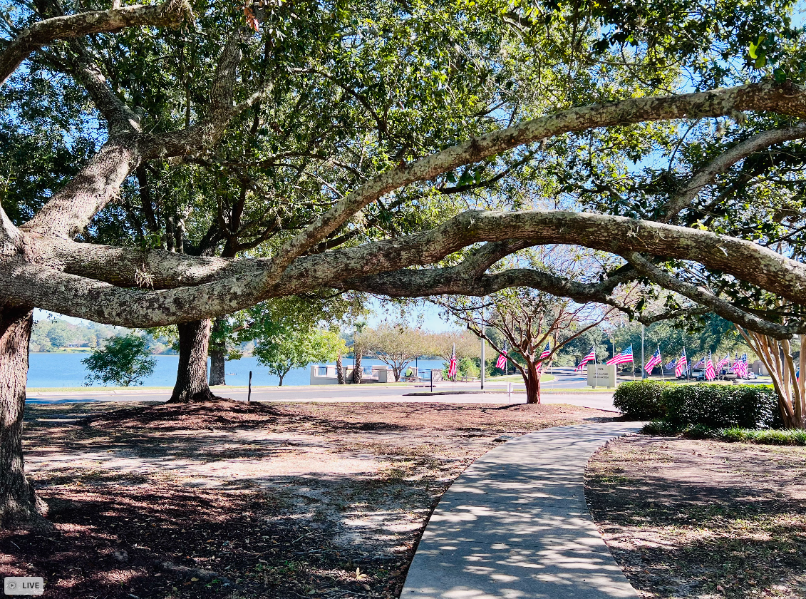Outdoor landscape on the LSU campus
