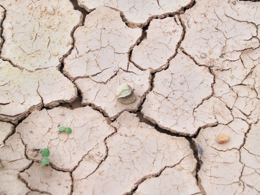 Dry cracked soil