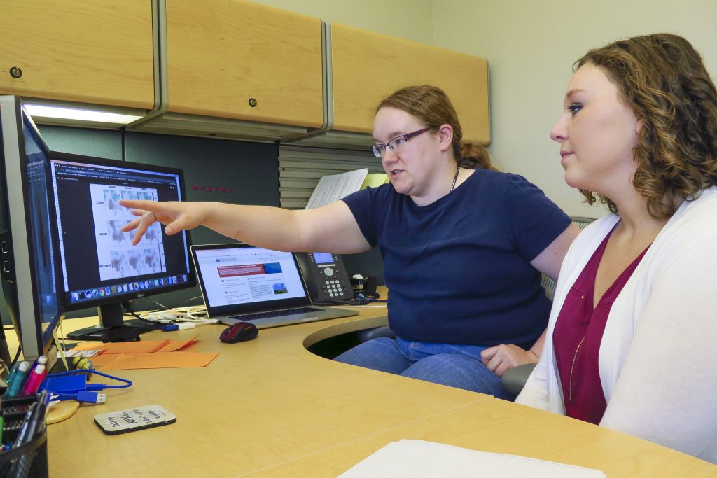 Two people discussing model data on a computer screen