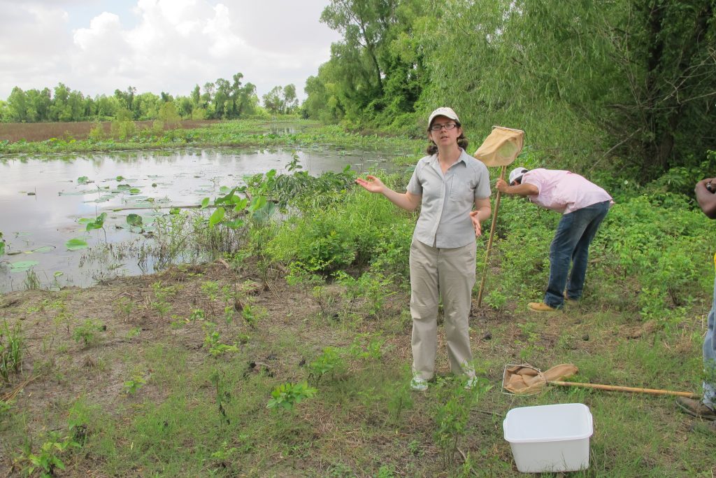Two people standing in a wetland area doing field research