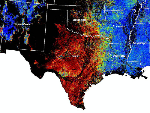 A map of the south central region showing forested areas