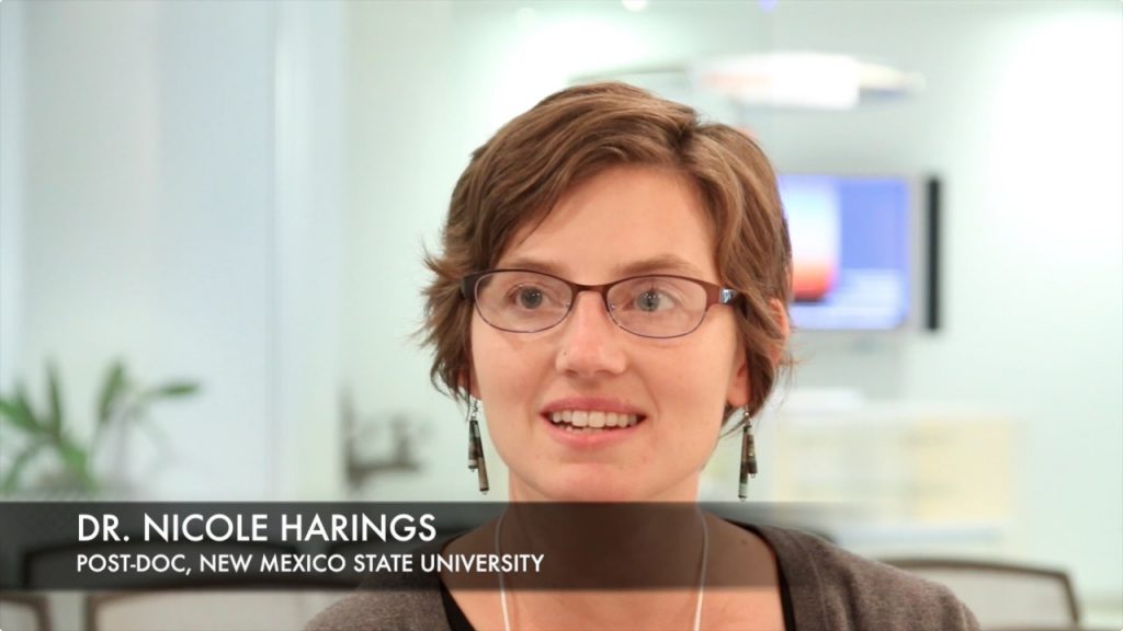 A screen grab from the 2014 Early Career Professional Development Workshop video showing Dr. Nicole Harings