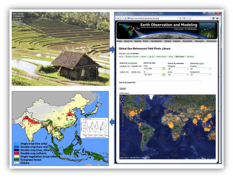 A collage of images showing the uses of different images as data points