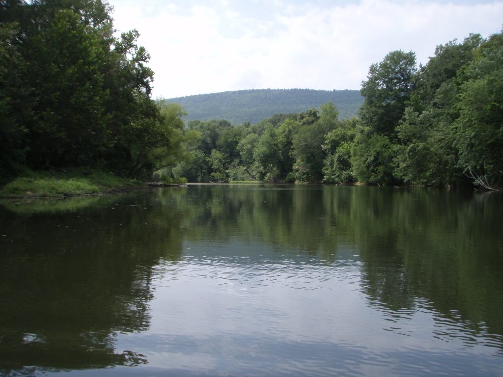 A river flowing between trees with a mountain and a cloudy sky in the distance