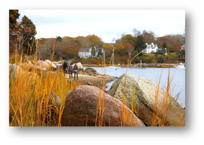 Up close at rocks and grass on a shoreline with houses and people in the background