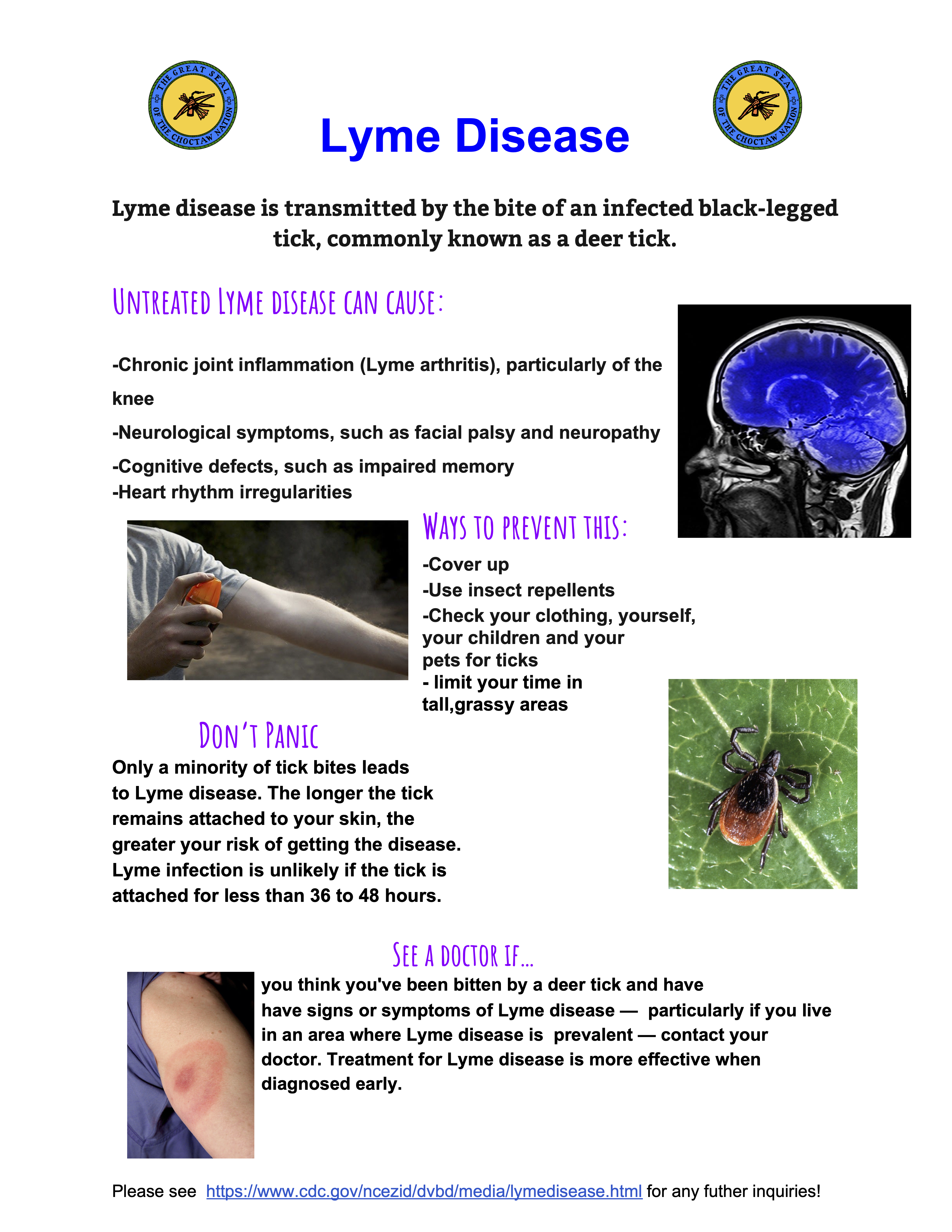 Lyme Disease flyer