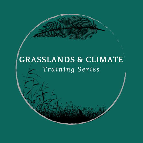 Logo for Grasslands & Climate Training Series featuring grasses and a feather up top