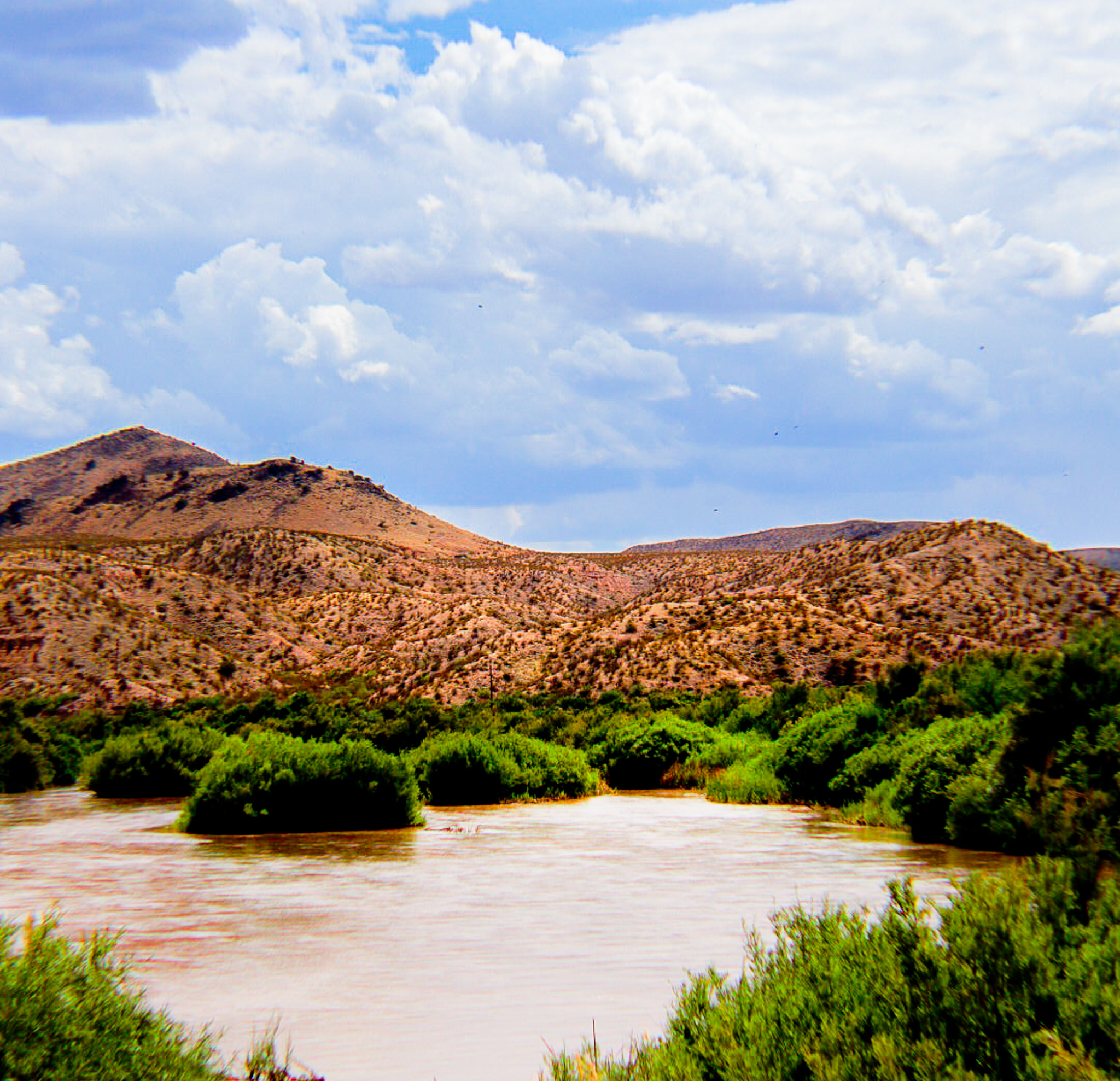 An arid mountainous area in the background, with the Rio Grande River and green plants in the foreground