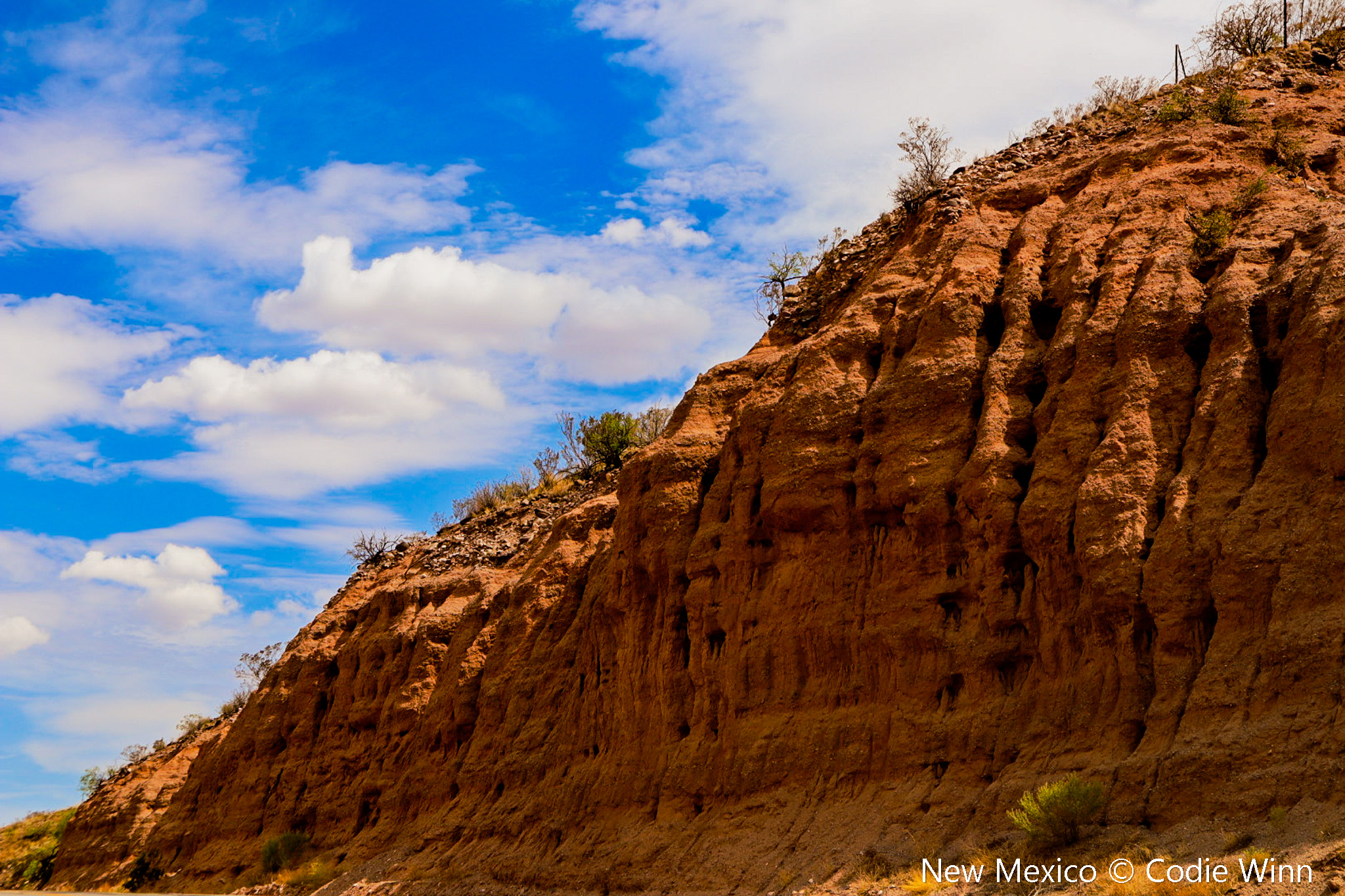Soil Erosion in New Mexico's hills. Photo credit: Codie Winn