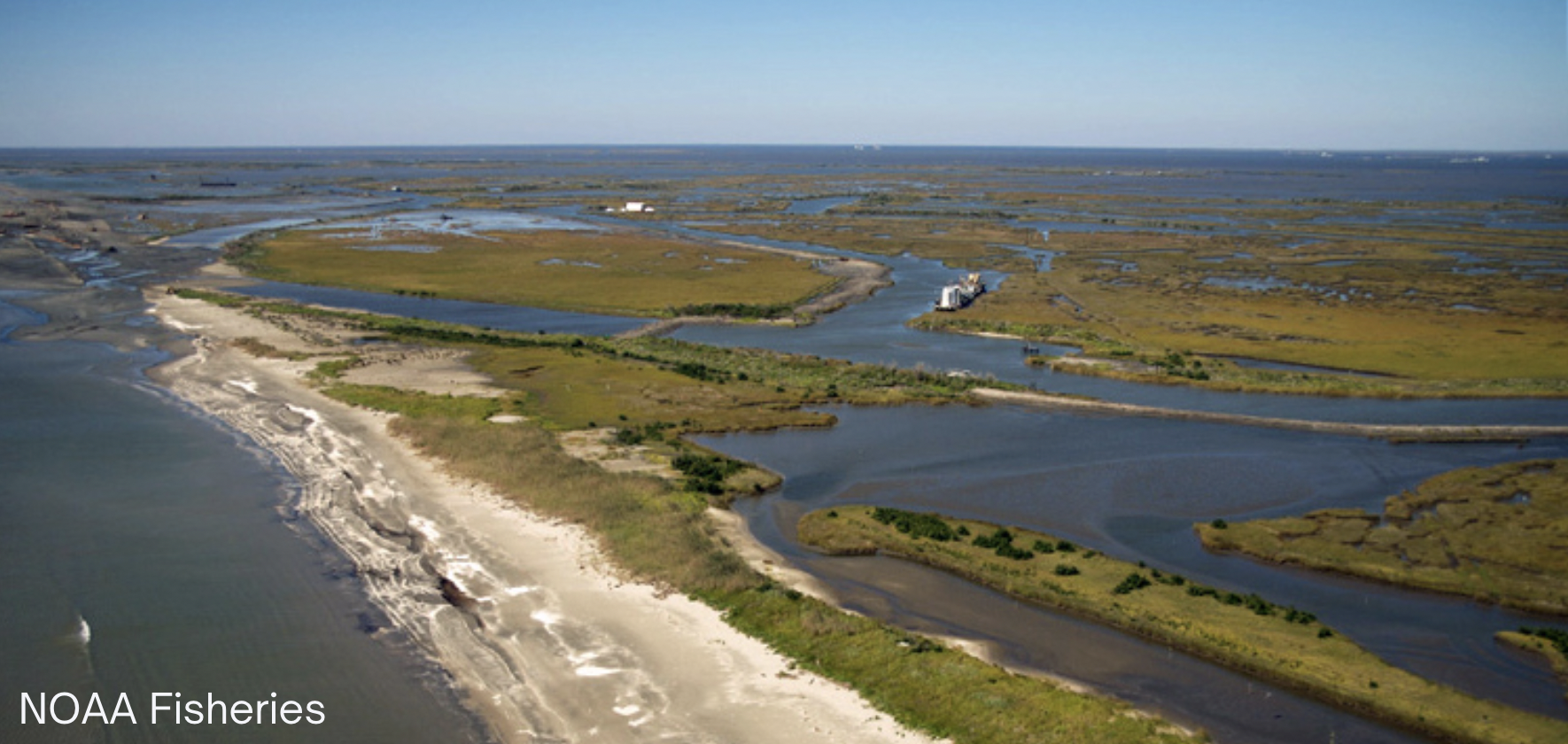 A wetland in coastal Louisiana