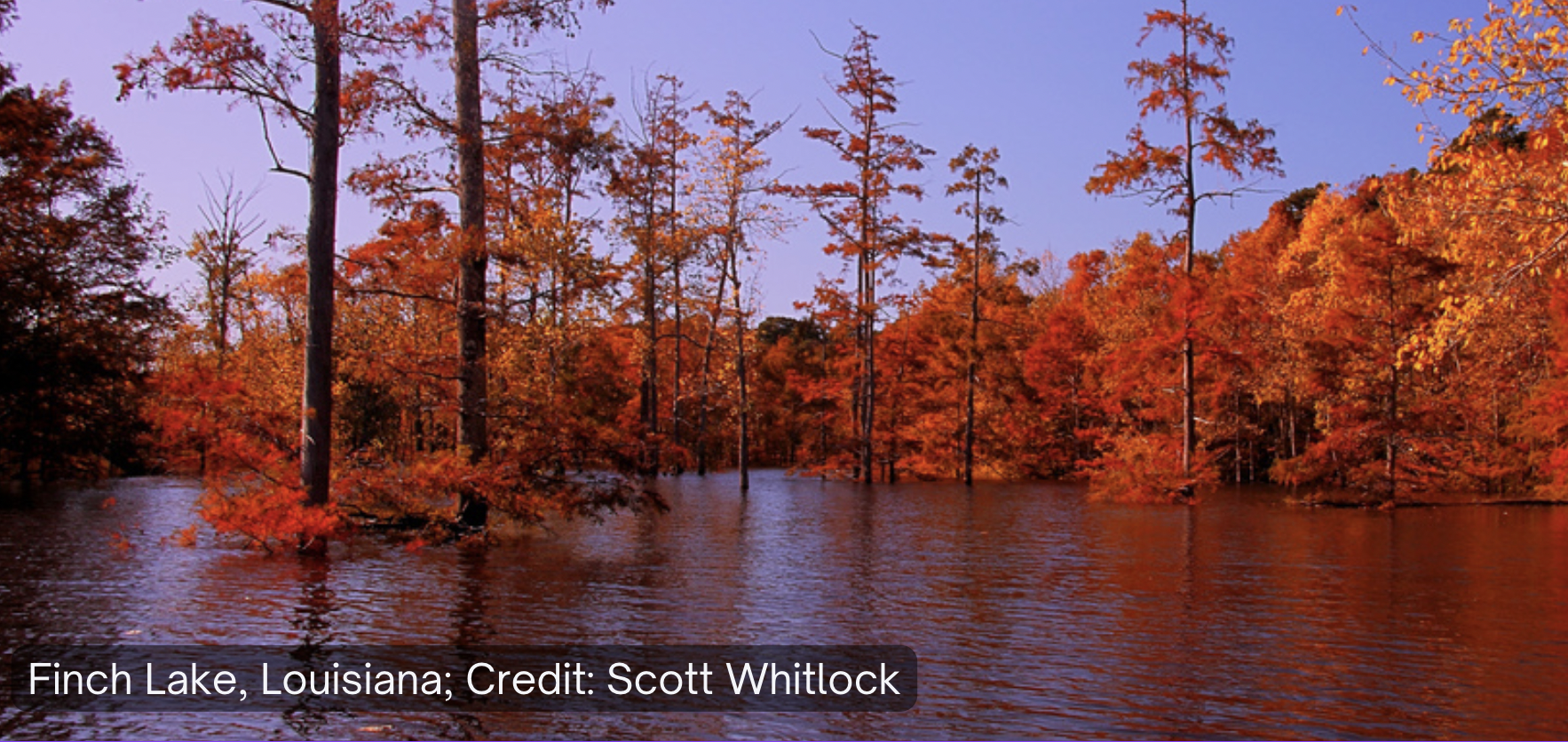A lake surrounded by autumn trees. Credit: Scott Whitlock