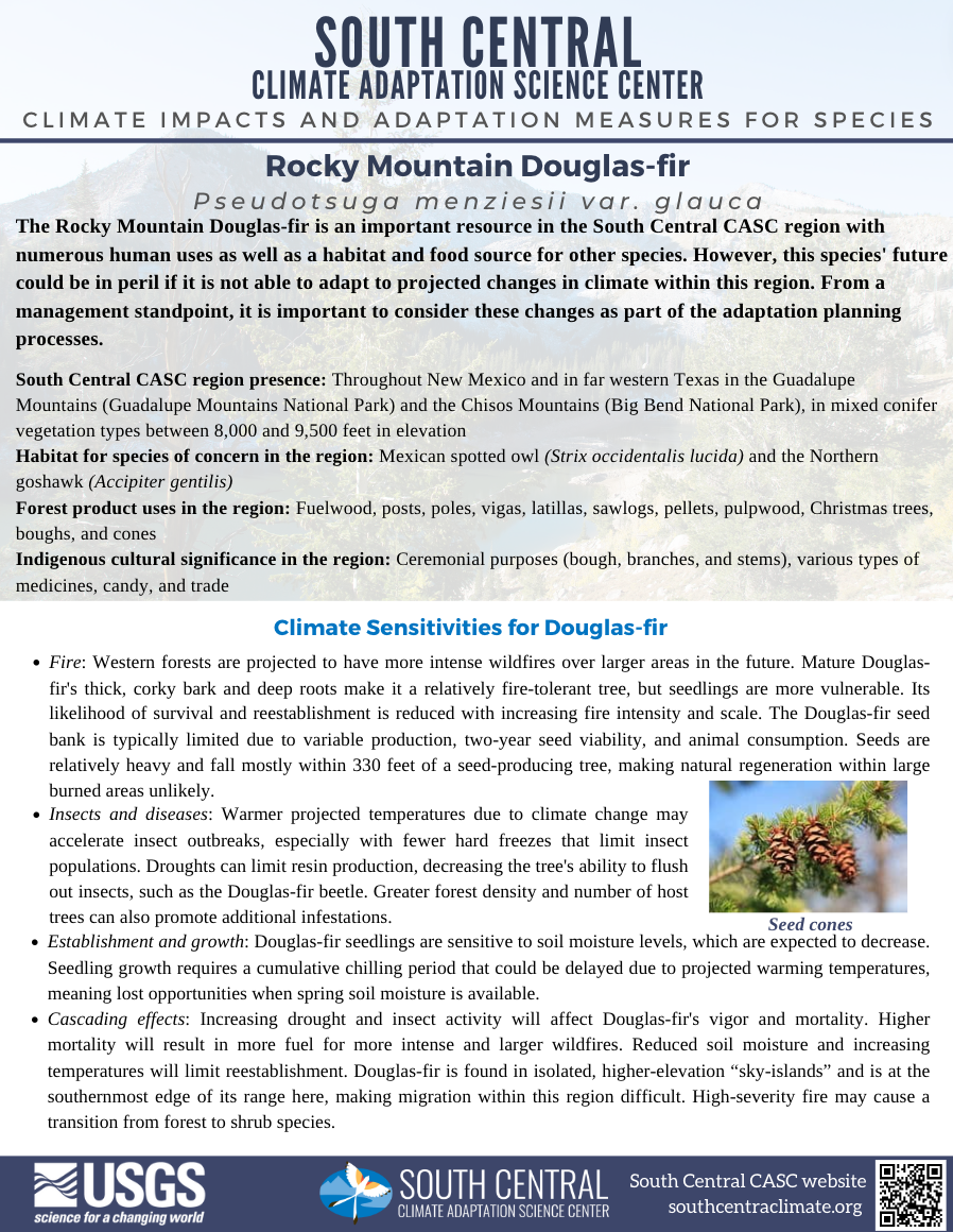 A screenshot of the front page of the Rocky Mountain Douglas-fir handout