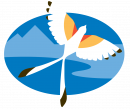 Scisortail flycatcher (bird) over a stylized blue background