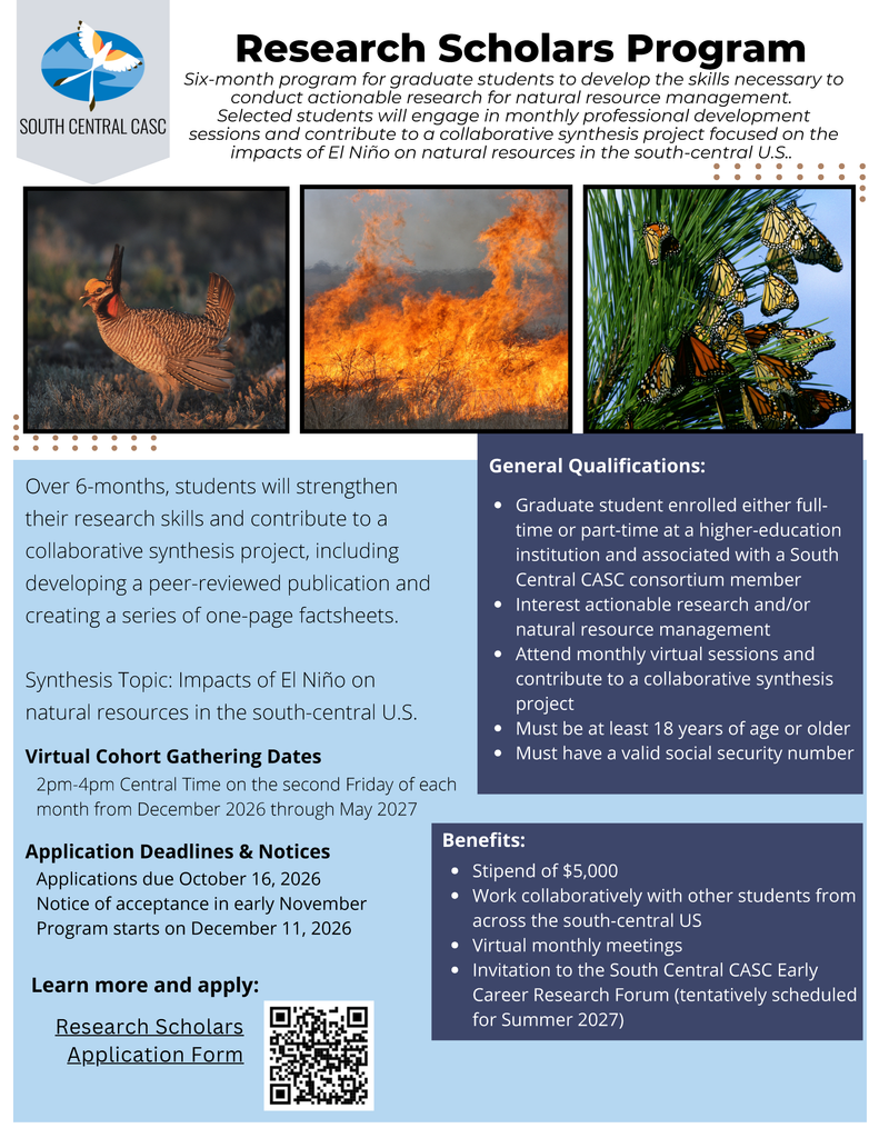 Research Scholars Program flyer. 